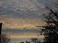 2011 -11- Garten 570.webp