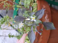 S5000148.webp