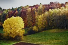 5.11.11 (13 von 164)_HDR.webp