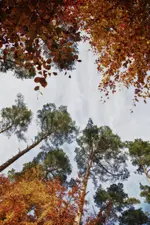 5.11.11 (87 von 164)_HDR.webp