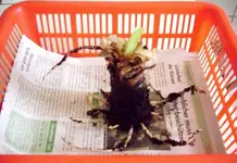 Bild 009.webp