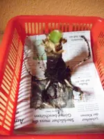 Bild 018.webp