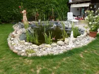 P1020157.webp