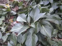 BILD1120.webp