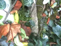 BILD1125.webp