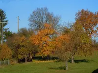 075.webp
