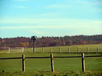 074.webp