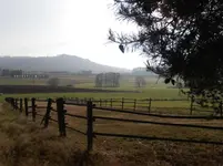 PB060069.webp