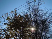 076.webp