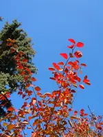 082.webp