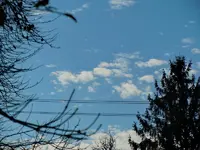 079.webp