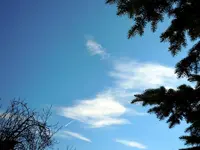 078.webp