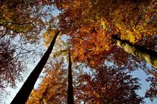 7.11.11 (119 von 157).webp