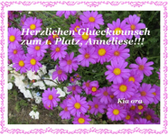 Copy of IMG_7108.webp