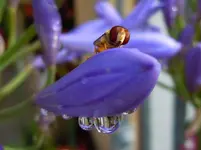 01-Wassertropfen.webp