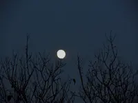 029.webp