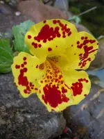 025.webp