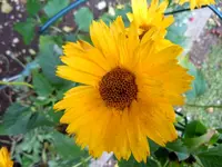 033.webp