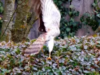 016.webp