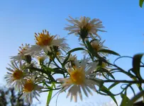 043.webp