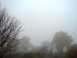 Nebel009.JPG