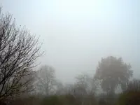 Nebel009.webp