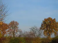 032.webp