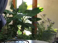 Kopie von IMG_0052.webp