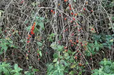 IMG_9927.webp