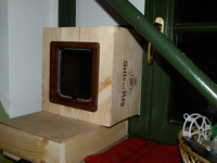 katzenklappe04.webp