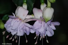 DSC_0084.webp