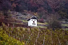 10.11.11 (6 von 37).webp