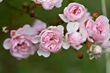 10.11.11 (35 von 37).webp