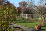 Garten Nov. 2011 064.jpg