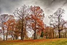11.11.11 (39 von 227)_HDR.webp