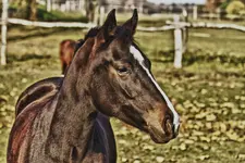 11.11.11 (153 von 227)_HDR.webp