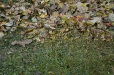 DSC_0022.webp