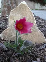 PICT0010.webp