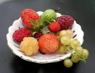 kleine früchtchen.webp