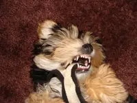 sofort den schuh her !!!!!!!!!!!!!!!!!!!!!!!.webp
