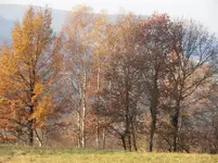 PB120425.webp