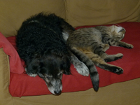 carlo mit billy.webp