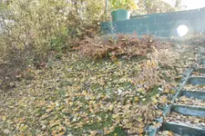053 Abhang.webp