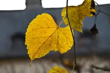 12.11.11 (64 von 151).webp