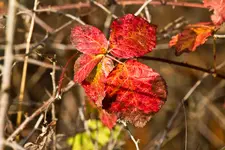 11.11.11 (178 von 227).webp