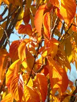 DSCN1149.webp