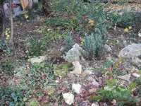 K1024_steingarten 011.webp K1024_steingarten 011.webp
