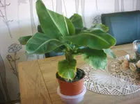 DSCI0003 (2).webp
