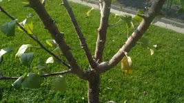 bild1.webp