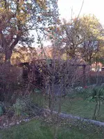 IMAG0735.webp